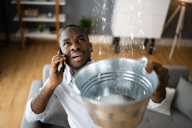 Best Professional water damage repair  in Park Rapids, MN