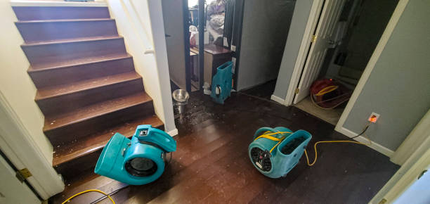 Best Residential water damage restoration  in Park Rapids, MN