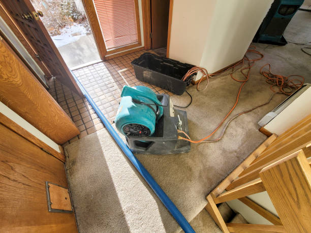 Best Residential water damage restoration  in Park Rapids, MN