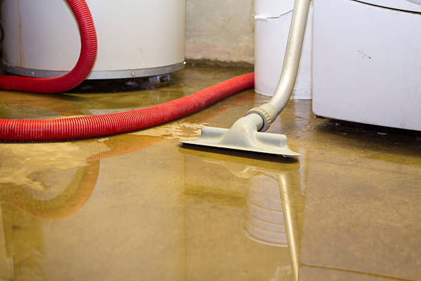 Best Sewage cleanup and water damage restoration  in Park Rapids, MN