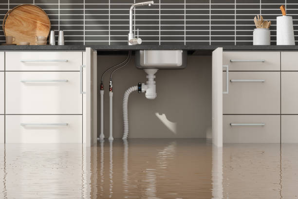 Best Commercial water damage restoration  in Park Rapids, MN