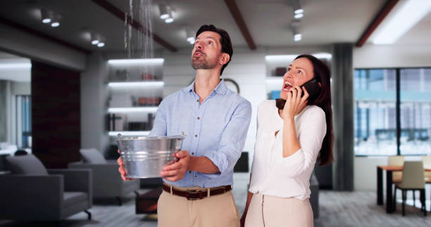 Best Water damage restoration company  in Park Rapids, MN